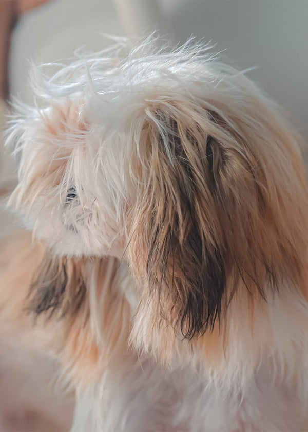 <p><strong>Small size. Big impact.</strong></p>